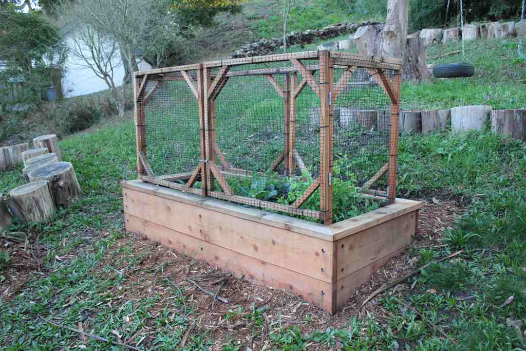 Image of: A Raised Bed Garden