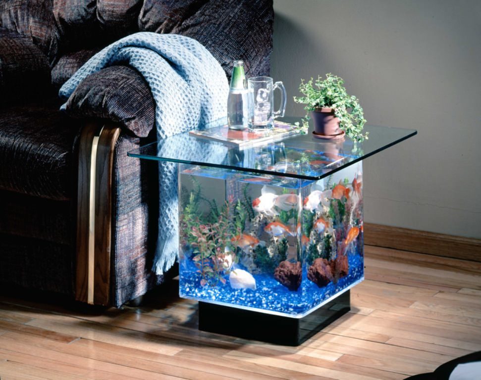 Image of: Acrylic Coffee Table Fish Tank