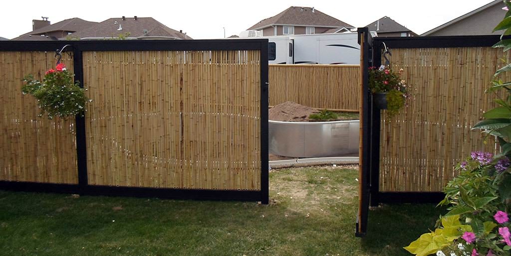 Image of: Adorable Bamboo Fence Panels Ideas