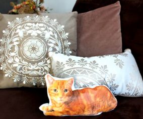 Adorable Diy Decorative Pillows
