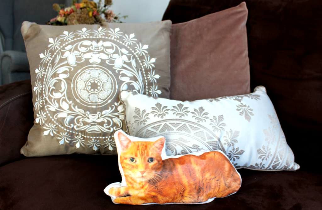 Image of: Adorable Diy Decorative Pillows