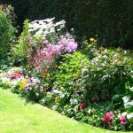 Annual Flower Bed Designs