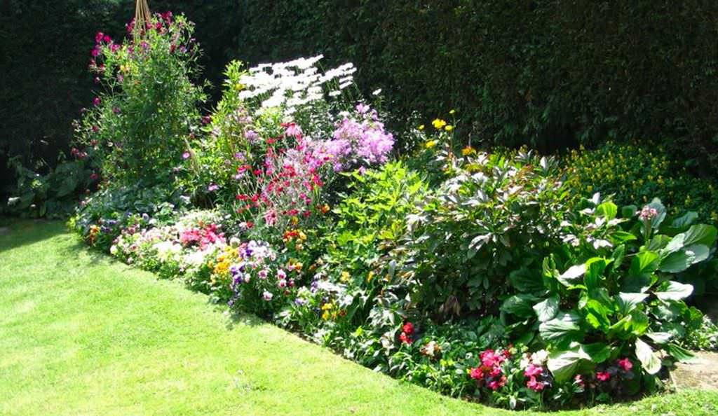 Image of: Annual Flower Bed Designs