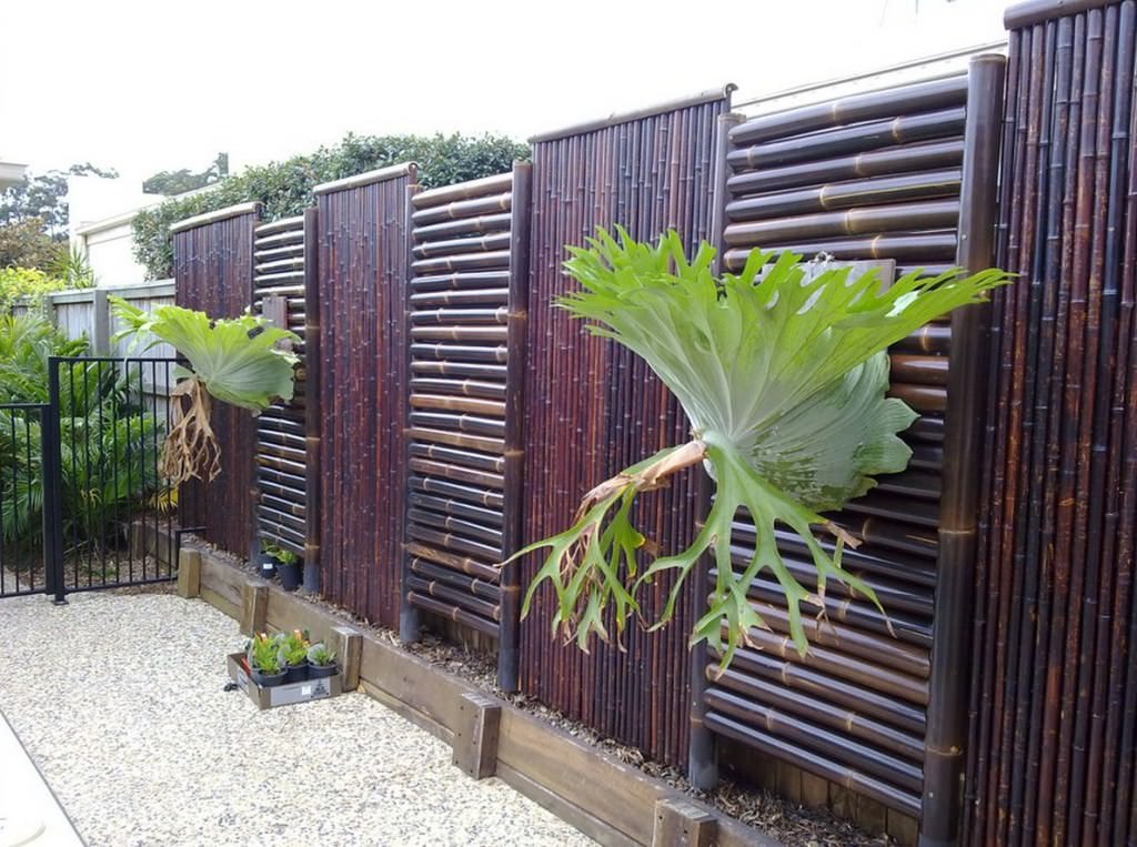 Image of: Awesome Bamboo Fence Panels Ideas