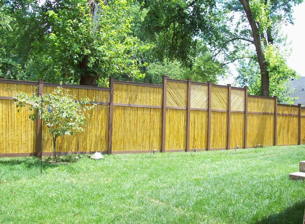 Image of: Bamboo Fence Panels Backyard Ideas