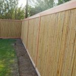 Bamboo Fence Panels Design Backyard