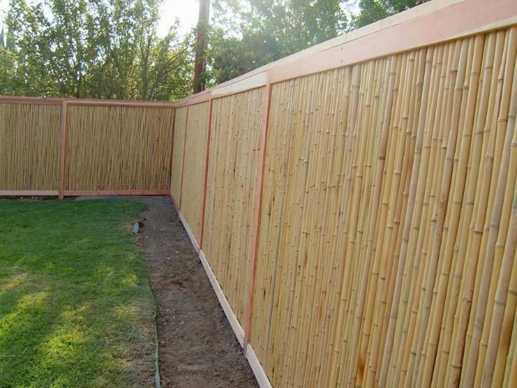 Image of: Bamboo Fence Panels Design Backyard