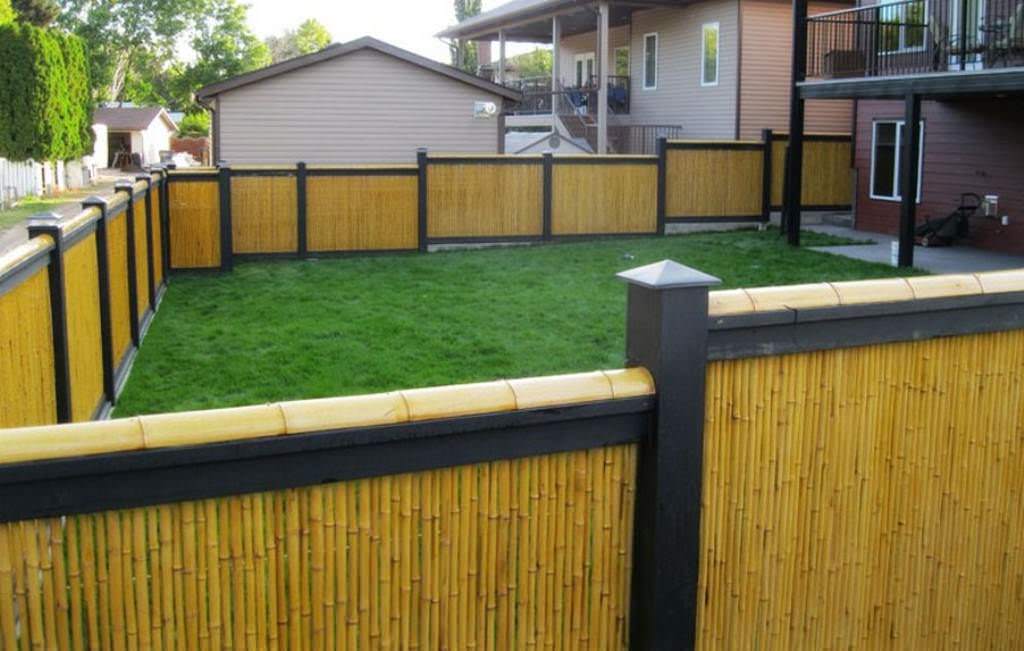 Image of: Bamboo Fence Panels Ideas Front Yard