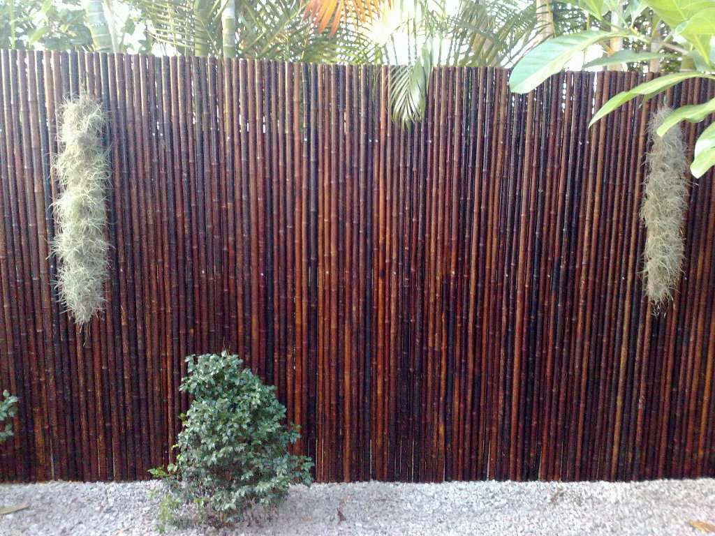 Image of: Bamboo Fence Panels