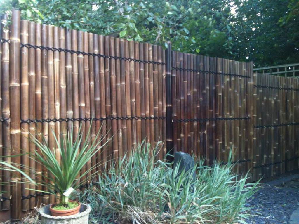 Image of: Beautiful Bamboo Fence Panels Ideas