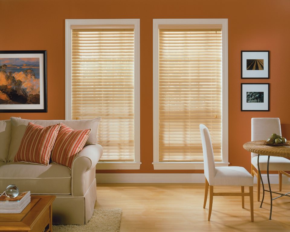 Image of: Beautiful Bamboo Window Shades Living Room