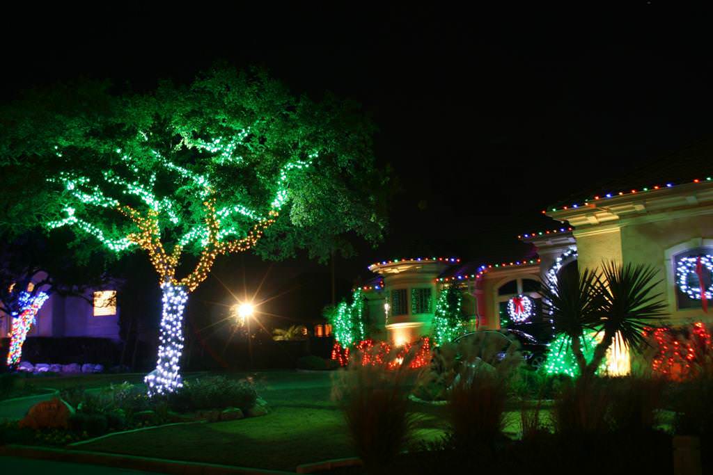Image of: Beautiful Decorative Lighting Trees Ideas