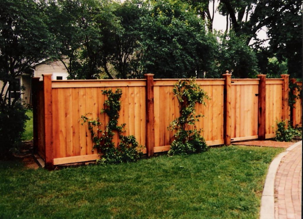 Image of: Beautiful Wood Fences