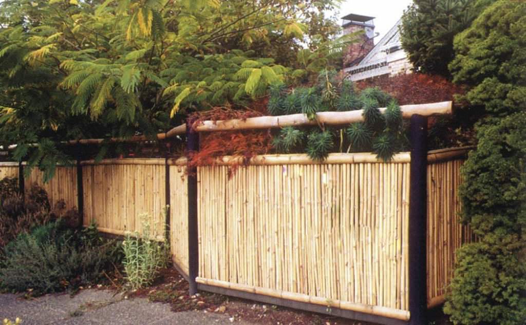 Image of: Best Bamboo Fence Panels Ideas