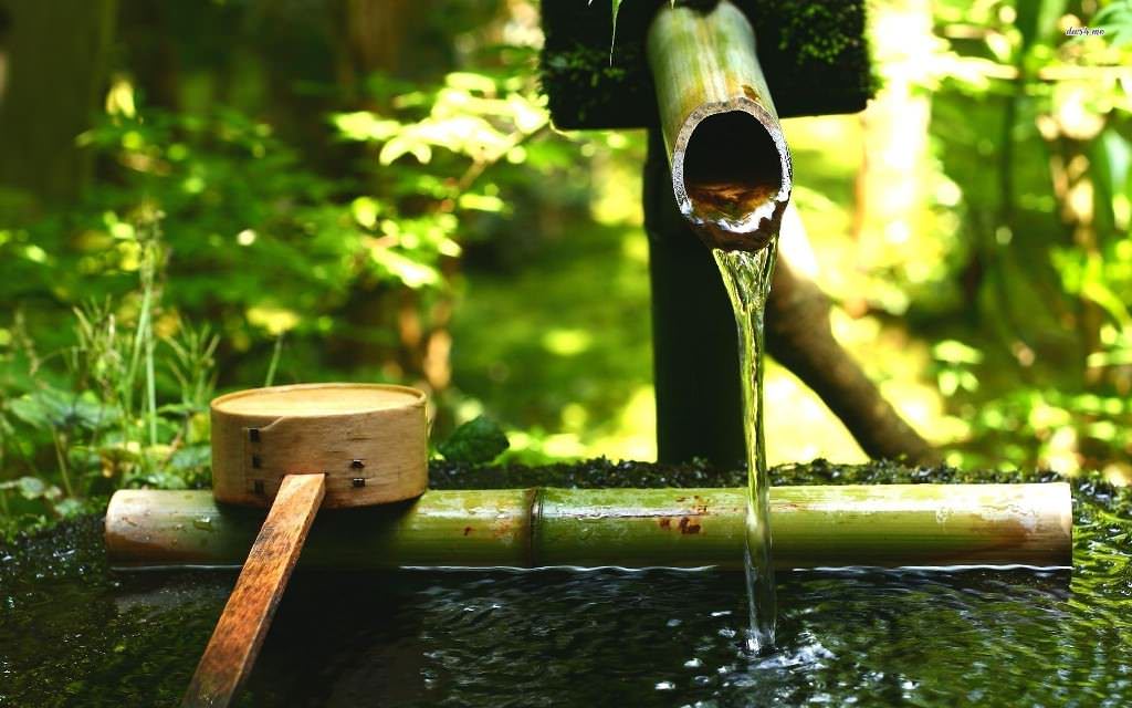 Image of: Best Natural Bamboo Fountain Ideas