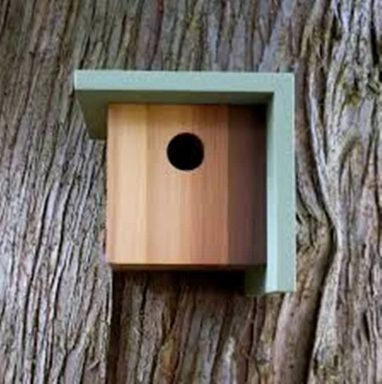 Image of: Birdhouse Applique Design
