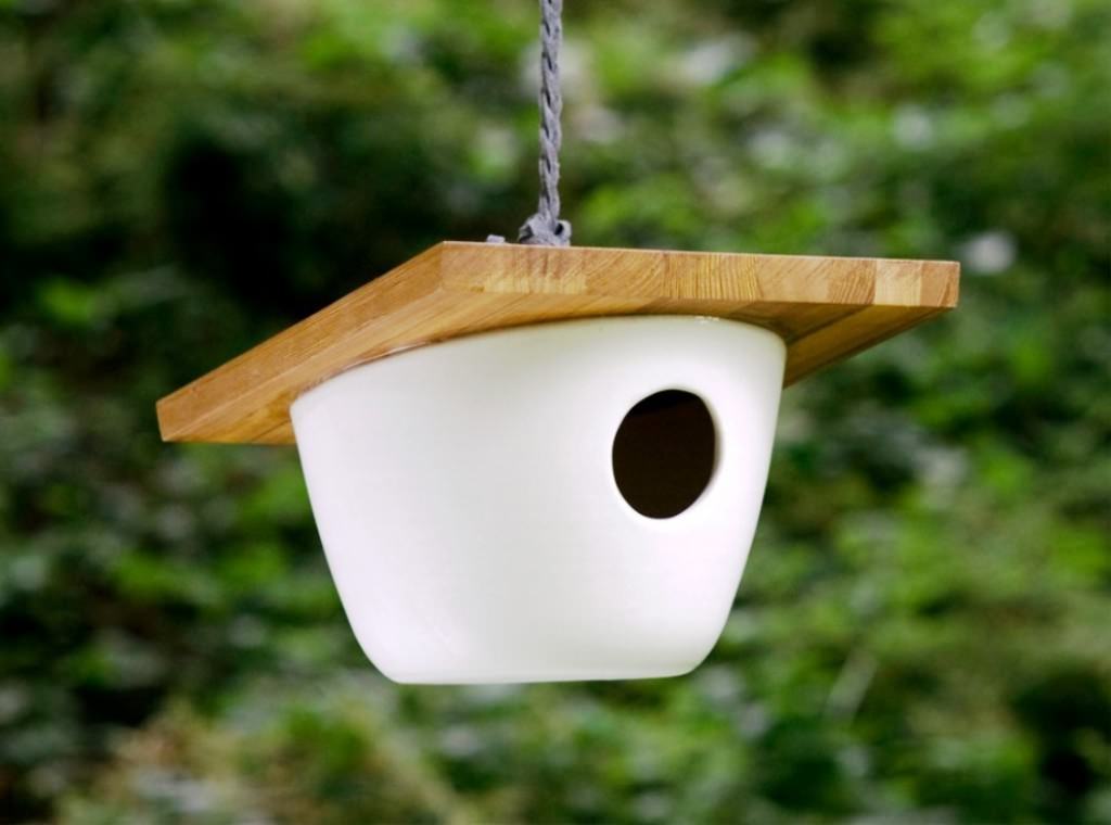 Image of: Birdhouse Designs By Species