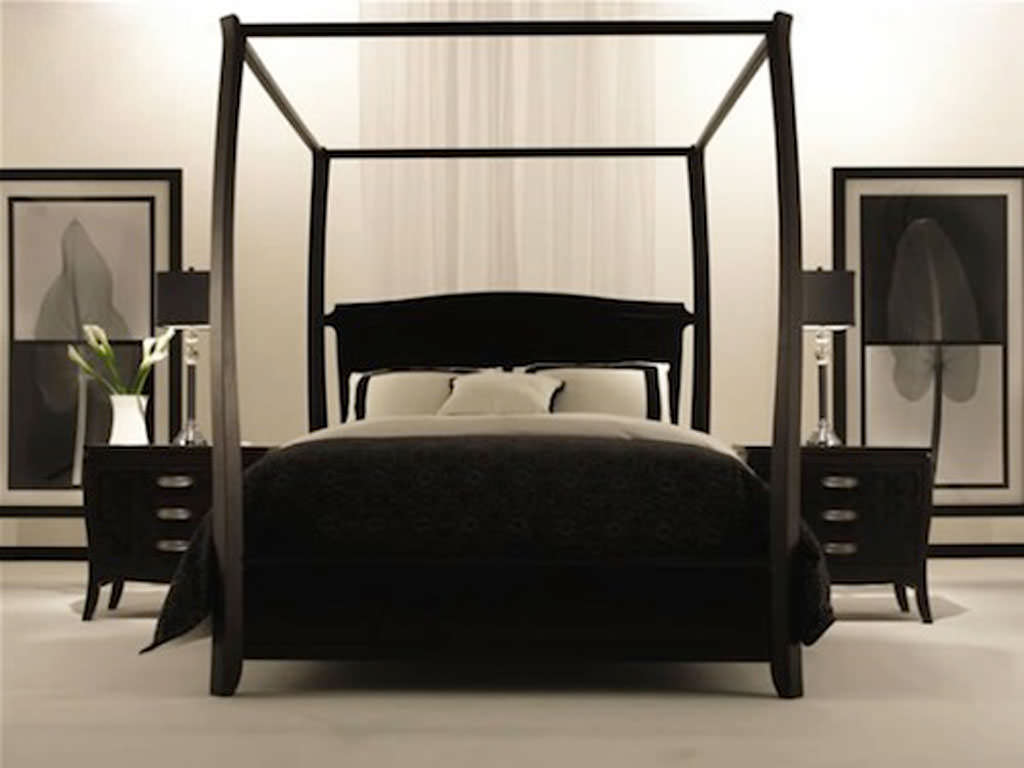 Image of: Black Canopy Bedroom Sets
