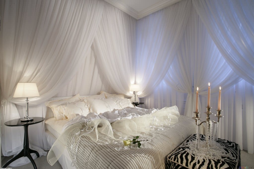 Image of: Elegant Canopy Bedroom Sets