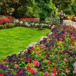 Flower Bed Designs For Front Of House