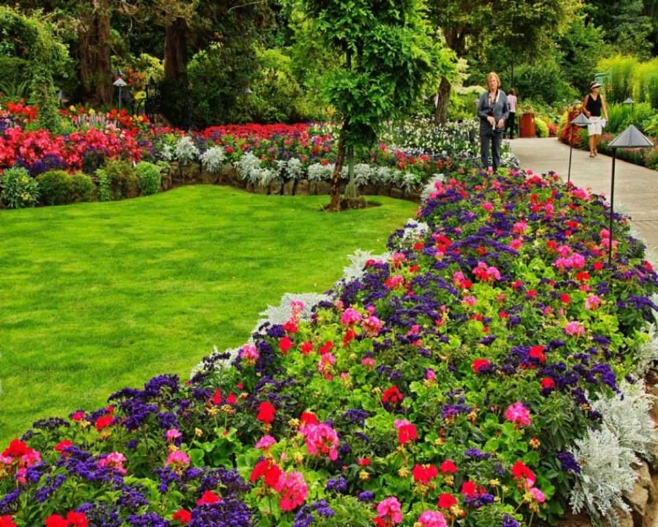 Image of: Flower Bed Designs For Front Of House