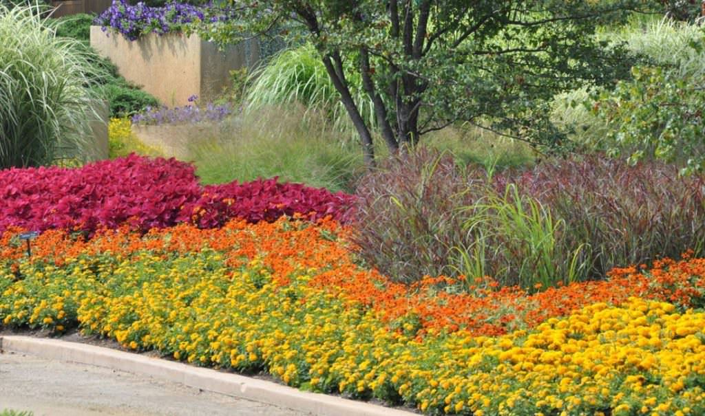 Image of: Flower Bed Ideas