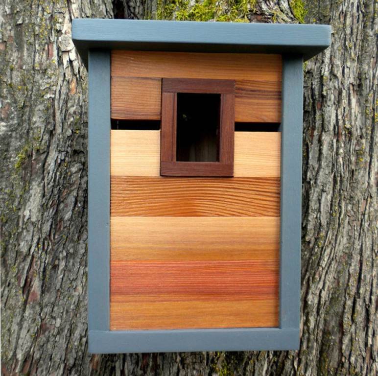 Image of: Free Birdhouse Designs Build
