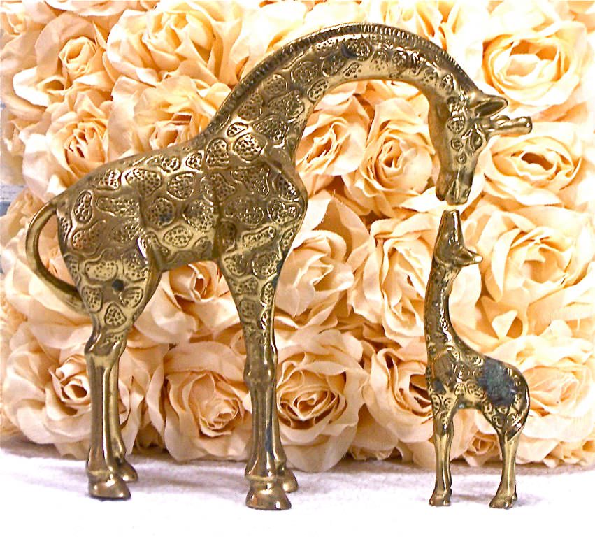 Image of: Giraffe Accessories