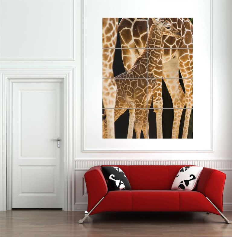 Image of: Giraffe Living Room Decor