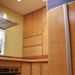Great Bamboo Kitchen Cabinets