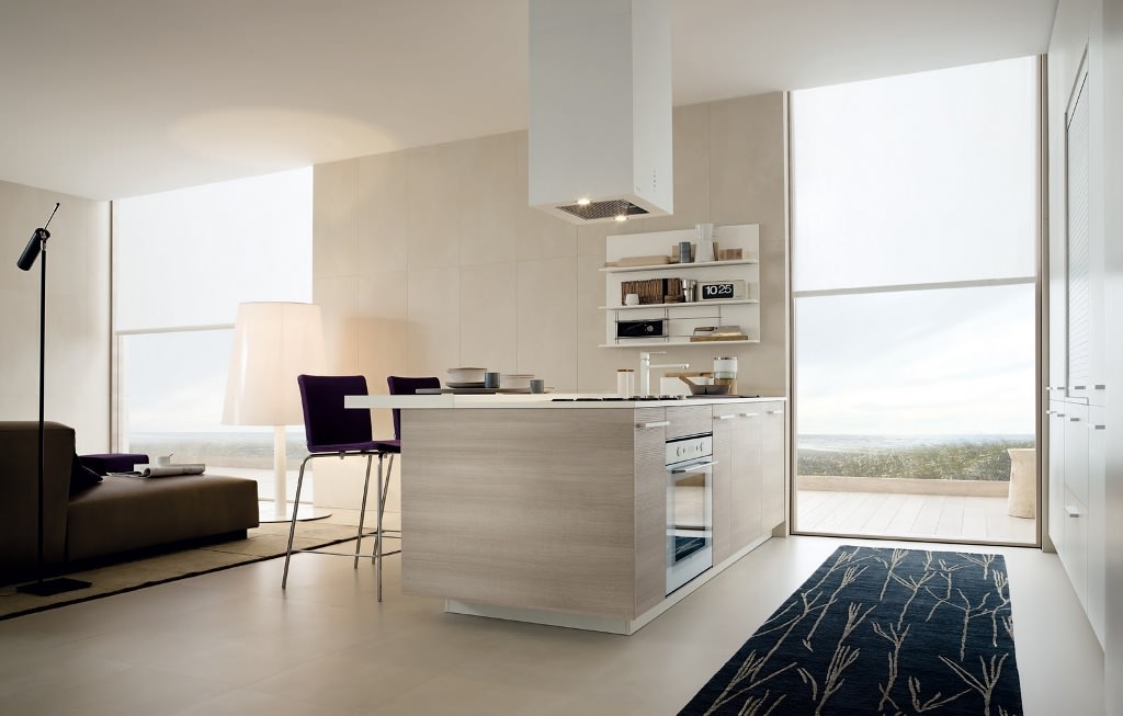 Image of: Luxury Kitchen Cabinets