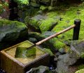 Natural Bamboo Fountain Ideas
