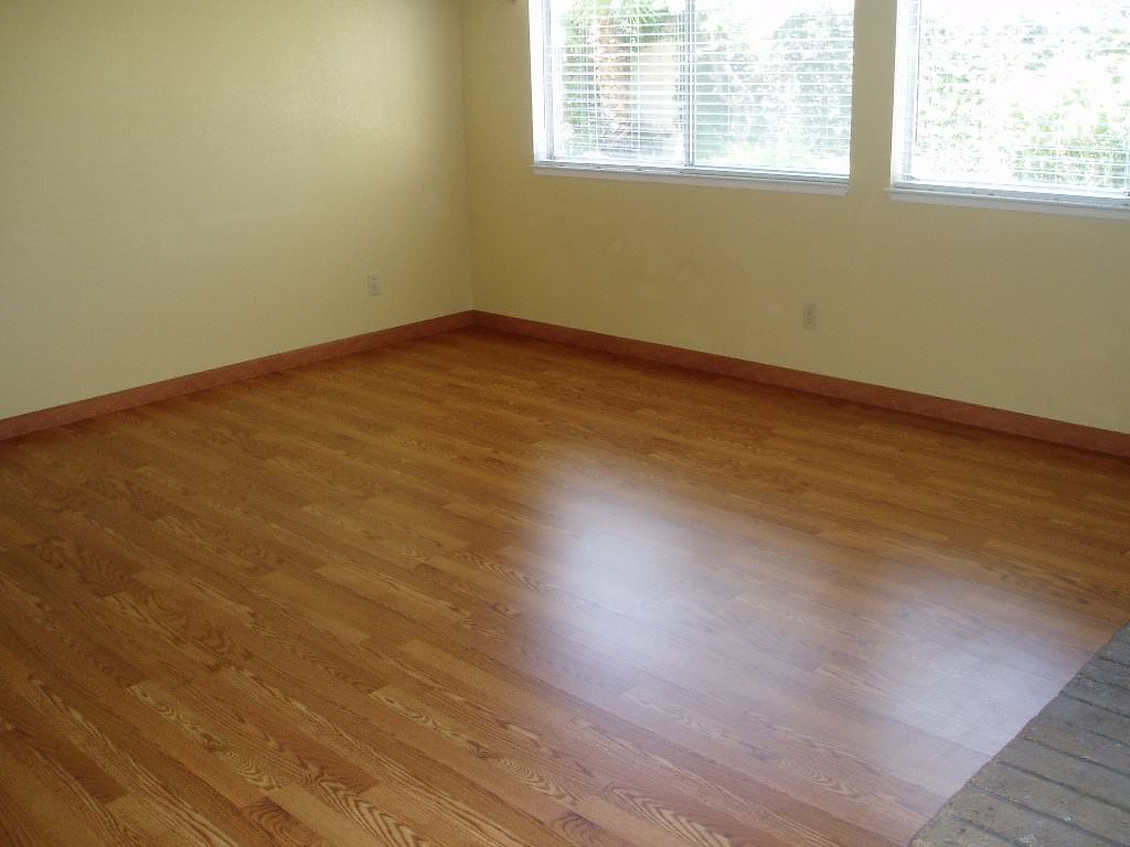Image of: Paint Wood Floors Diy