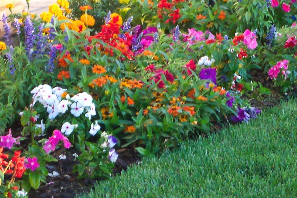Image of: Perennial Flower Bed Designs