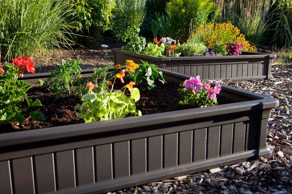 Image of: Plant In Raised Garden Beds