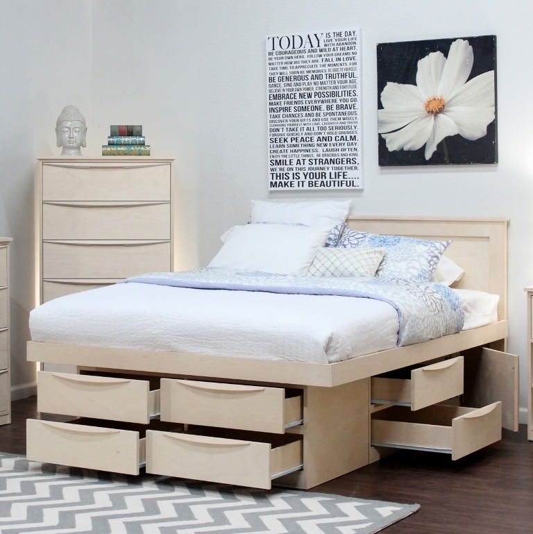 Image of: Queen Beds With Storage Drawers