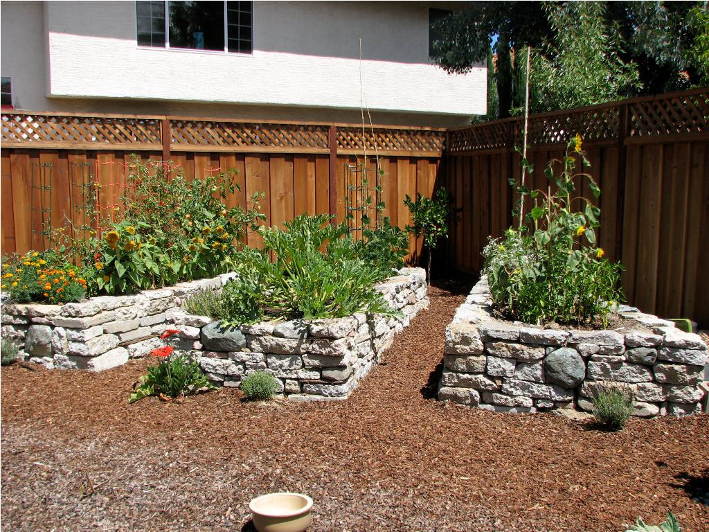 Image of: Raised Beds For Vegetables