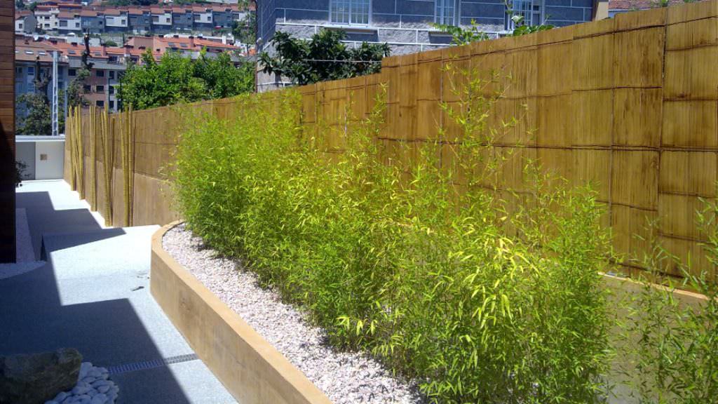 Image of: Simple And Cheap Bamboo Fence Panels Ideas