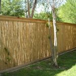 Simple Bamboo Fence Panels Ideas