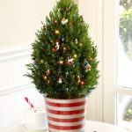 Small And Adorable Decorative Trees For Home