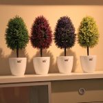 Small And Beautiful Decorative Trees For Home