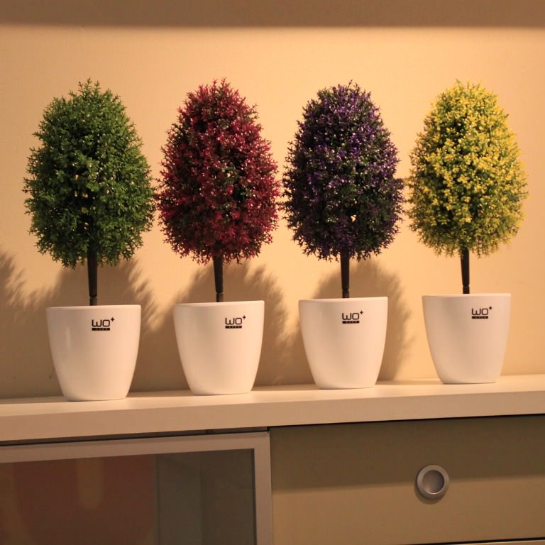 Image of: Small And Beautiful Decorative Trees For Home
