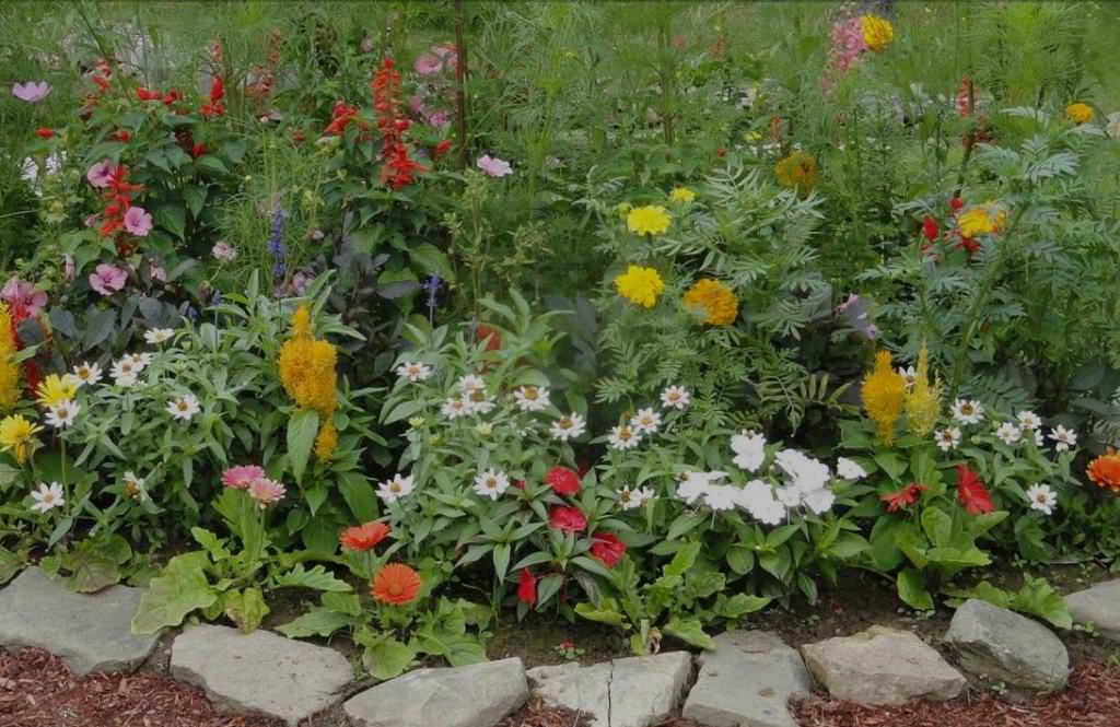 Image of: Small Flower Bed Designs