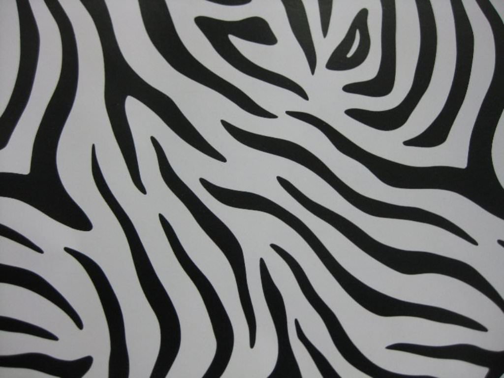 Image of: Decorative Adhesive Wallpaper Zebra Prints