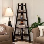 Decorative Corner Ladder