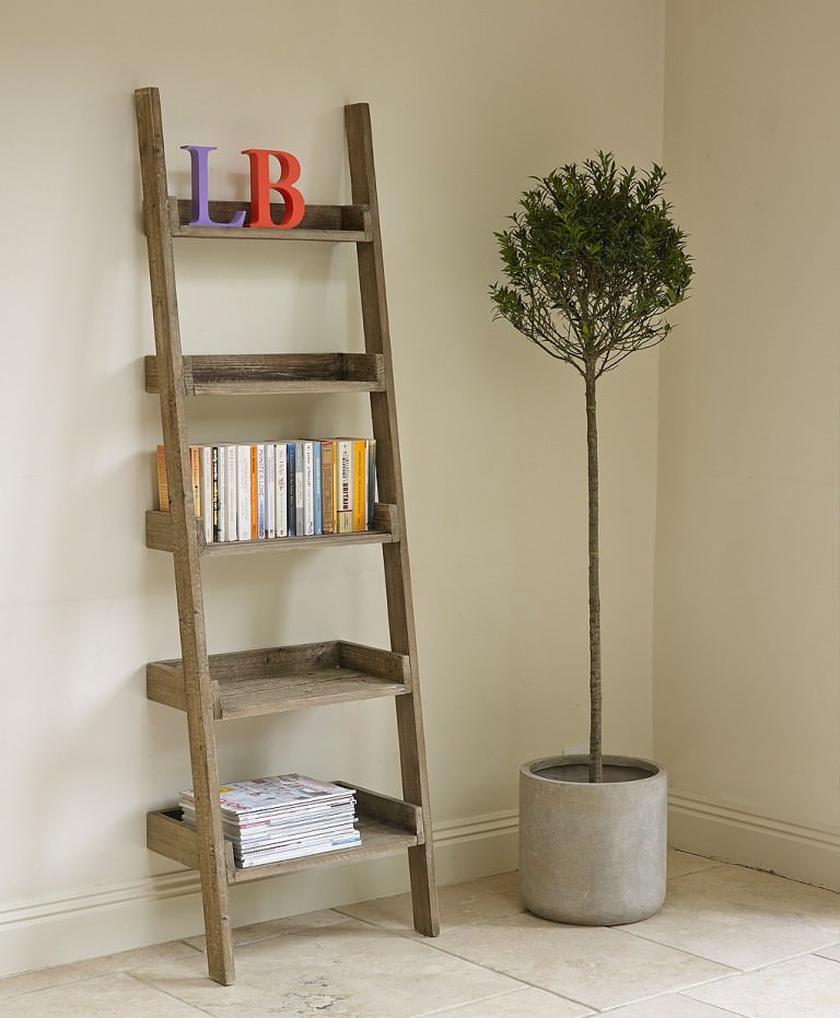 Image of: Wooden Decorative Ladder