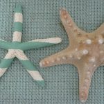 Large Starfish Decorations