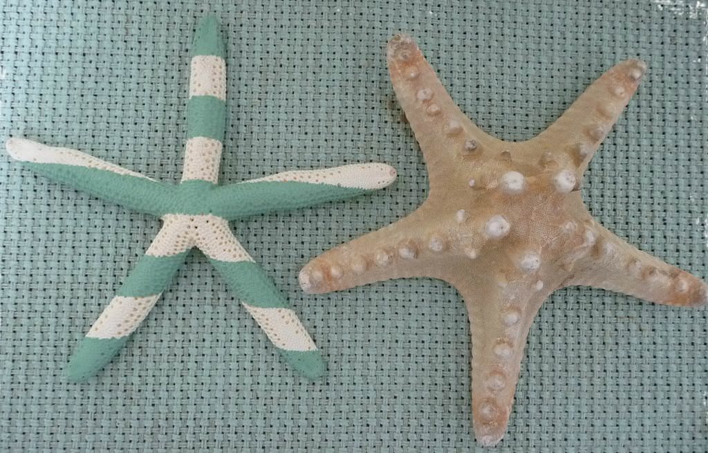 Image of: Large Starfish Decorations