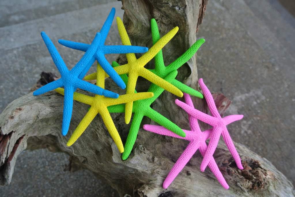 Image of: Resin Starfish Decorations