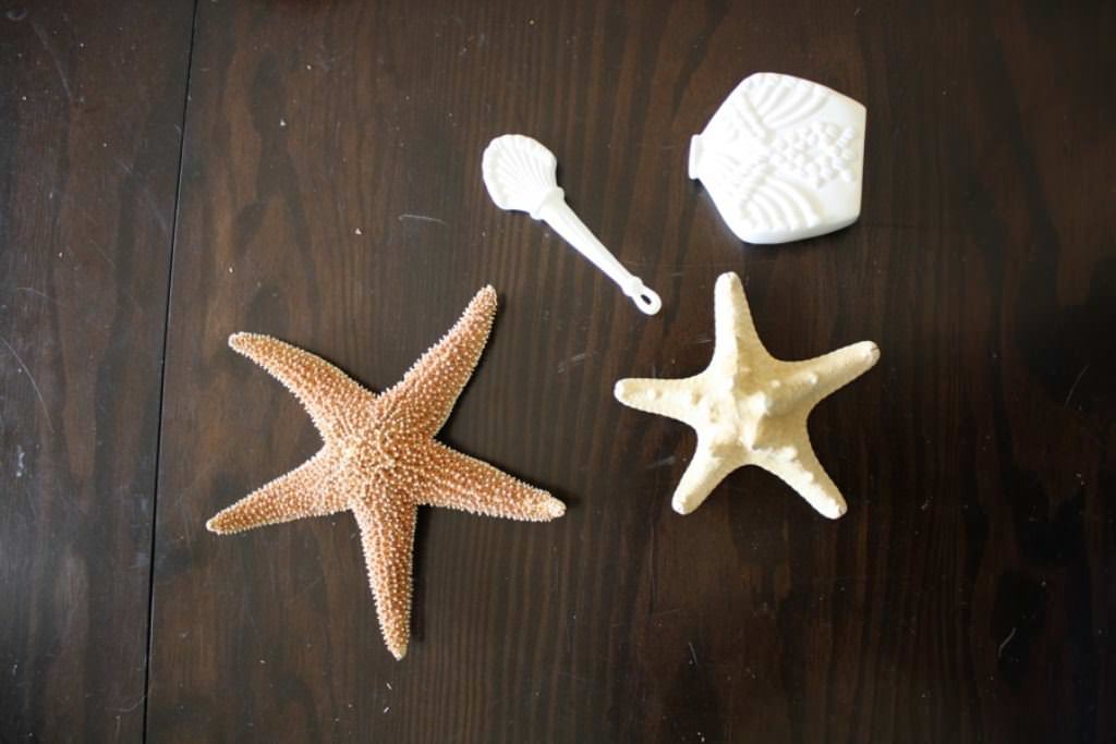 Image of: Seashells And Starfish Decorations